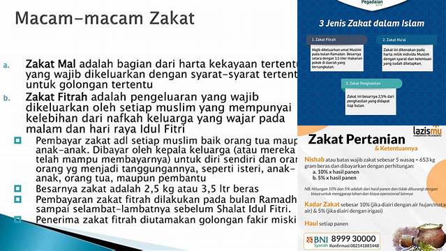 Jenis-jenis Zakat yang Wajib Diketahui