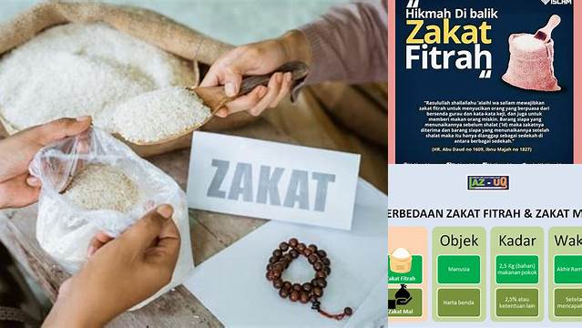 Apa Arti Zakat Fitrah dan Manfaatnya