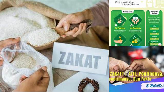 Panduan Lengkap: Memahami Apa Itu Zakat dalam Islam