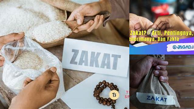 Apa Itu Zakat? Pengertian, Manfaat, dan Cara Menunaikannya