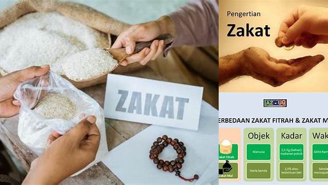 Cara Memahami Arti Zakat yang Sesuai Syariat