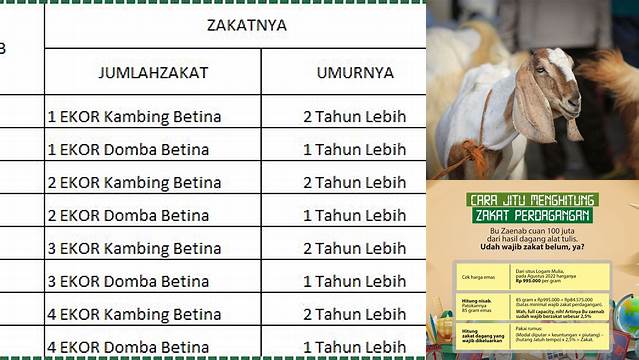 Cara Mudah Paham Batas Nisab Zakat Kambing Minimal