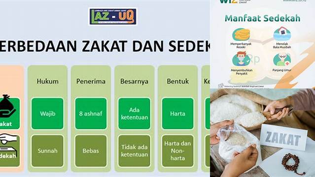 Cara Membedakan Zakat dan Sedekah untuk Umat Muslim