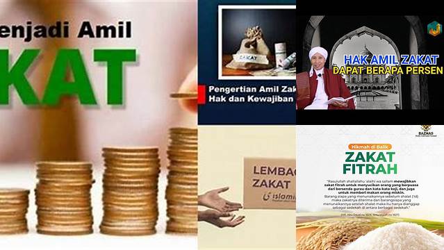 Cara Tepat Tentukan Persentase Hak Amil Zakat