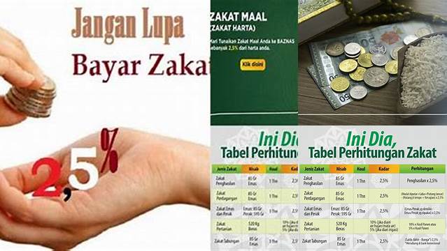 Panduan Menghitung dan Membayar Zakat Penghasilan: Berapa Persen yang Harus Dikeluarkan?