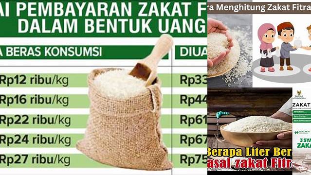 Cara Tepat Hitung Beras Zakat Fitrah Berapa Liter