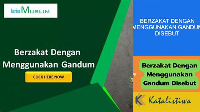 Panduan Menunaikan Zakat Menggunakan Gandum (Zakat Al-Gillah)