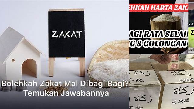 Bolehkah Zakat Mal Dibagi-Bagi? Ketahui Hukum dan Hikmahnya