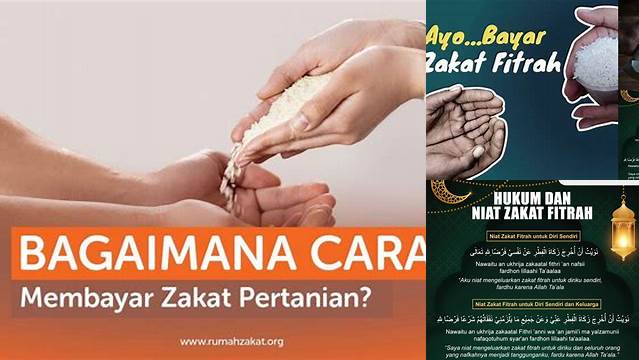 Cara Membayar Zakat yang Benar dan Mudah