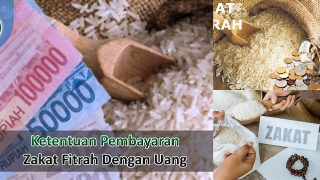 Cara Bayar Zakat Fitrah Pakai Uang yang Benar & Mudah