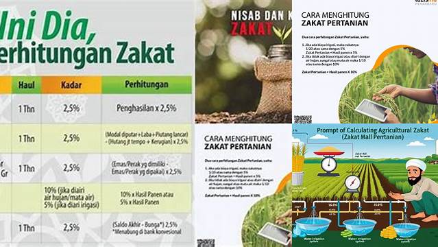 Panduan Lengkap Cara Hitung Zakat Mal Pertanian bagi Petani