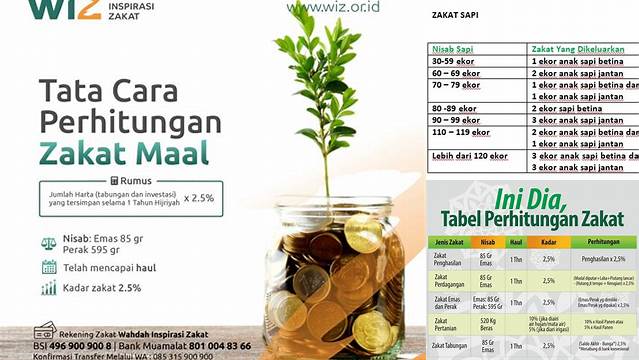 Cara Hitung Zakat Mal yang Benar, Yuk Pelajari!