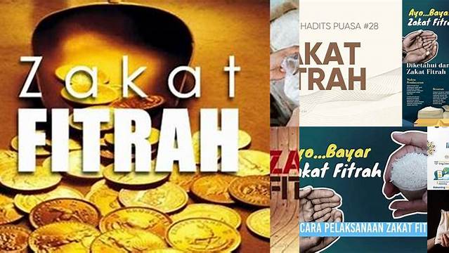 Cara Tepat Menunaikan Zakat Fitrah Sesuai Syariat