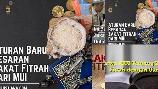 Panduan Lengkap Fatwa MUI tentang Zakat Fitrah