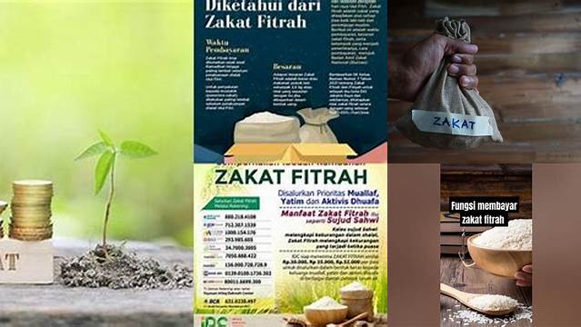 Fungsi Zakat Fitrah, Panduan Membersihkan Diri dan Membantu Sesama