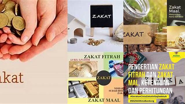 Pentingnya Fungsi Zakat Mal dalam Kehidupan Muslim