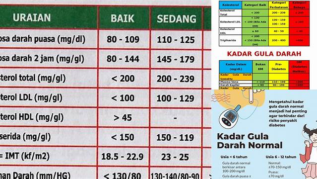 Gula Darah Puasa Normal Wanita