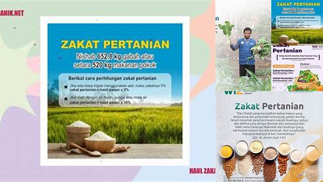 Haul Zakat Hasil Pertanian: Panduan Lengkap untuk Petani