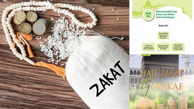 Hikmah Ibadah Zakat: Pelajaran dari Amal Bersih dan Berkah