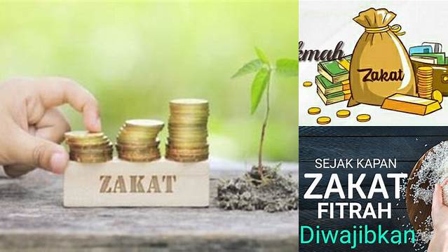 Hikmah Membayar Zakat: Rahasia Menyucikan Harta & Menambah Keberkahan