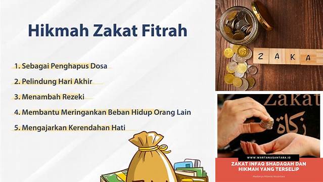 Hikmah Zakat: Pembersih Harta, Penyuci Jiwa