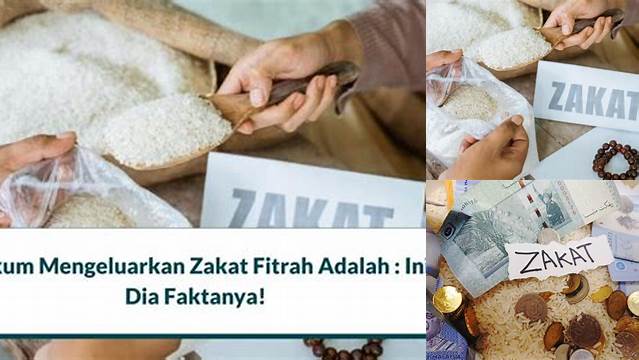 Panduan Lengkap Hukum Mengeluarkan Zakat