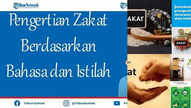 Zakat: Pengertian, Hukum, dan Hikmahnya
