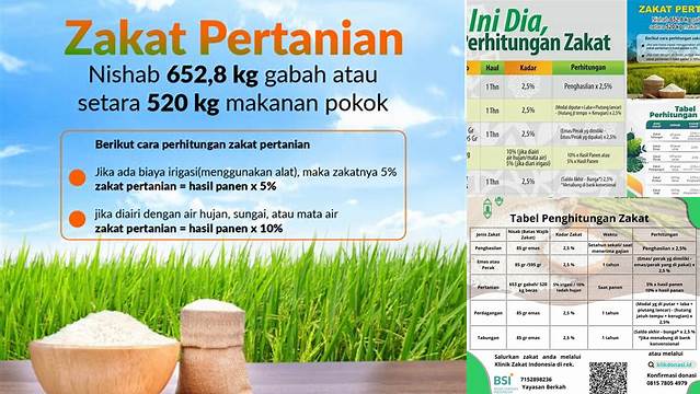 Tips Praktis Hitung Kadar Zakat Pertanian