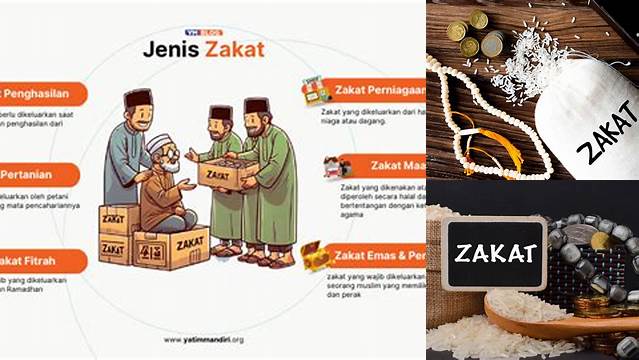 Panduan Lengkap Macam Macam Zakat Dalam Islam