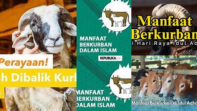 Manfaat Berkurban Di Idul Adha