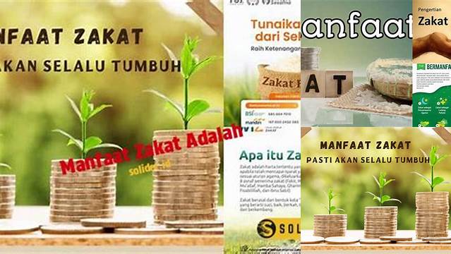 Manfaat Zakat: Rahasia Keberkahan dan Kebahagiaan Hidup