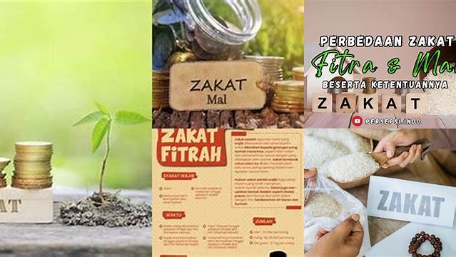 Panduan Lengkap Memahami Ketentuan Zakat