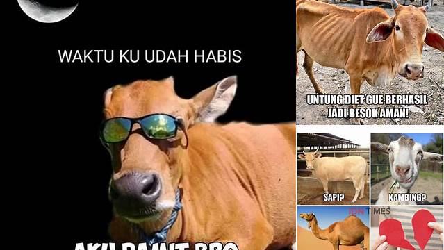 Meme Idul Adha