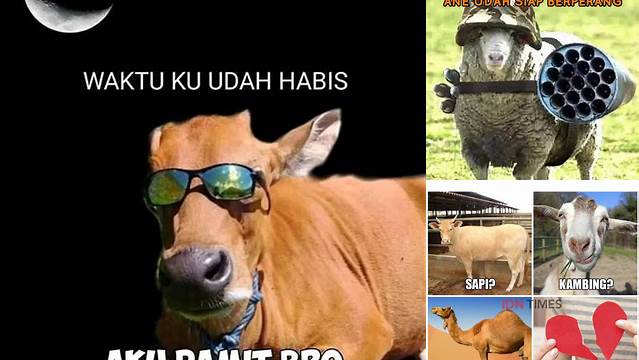 Meme Idul Adha Lucu