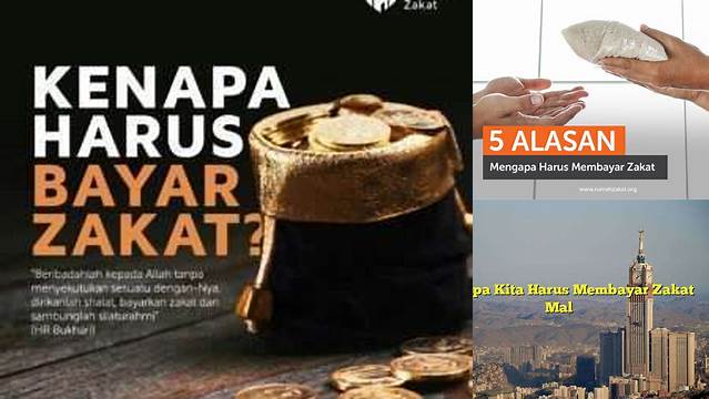 Mengapa Wajib Bayar Zakat? Yuk, Ketahui Hikmahnya!