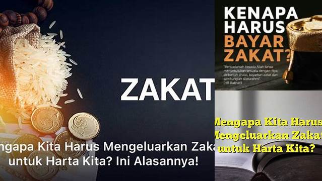 Mengapa Kita Wajib Menunaikan Zakat?