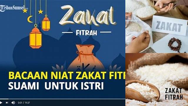 Cara Tepat Niat Zakat Idul Fitri, Agar Sah dan Diterima Allah