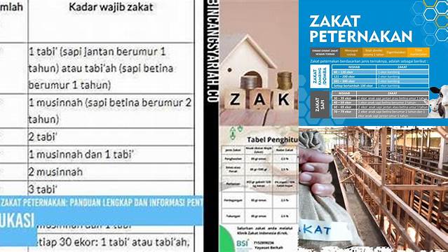 Panduan Nisab Zakat Peternakan: Wajib Tahu Bagi Peternak