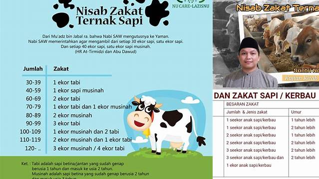 Pahami Nisab Zakat Sapi, Wajib Tahu untuk Peternak!