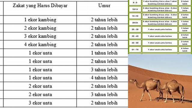 Nisab Zakat Unta: Panduan Lengkap untuk Muslim