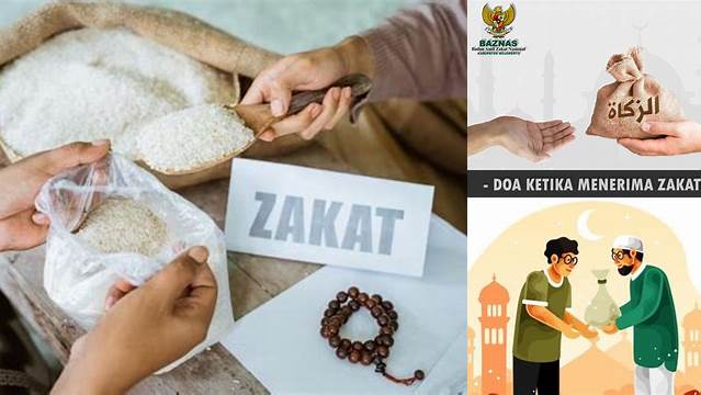 Cara Tepat Menunaikan Zakat bagi Pemberi (Muzakki)