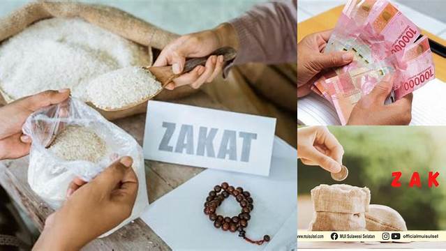 Cara Menjadi Muzaki yang Baik untuk Zakat yang Optimal