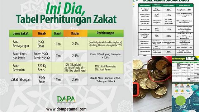 Panduan Tepat Pembagian Zakat Mal untuk Masyarakat Sejahtera