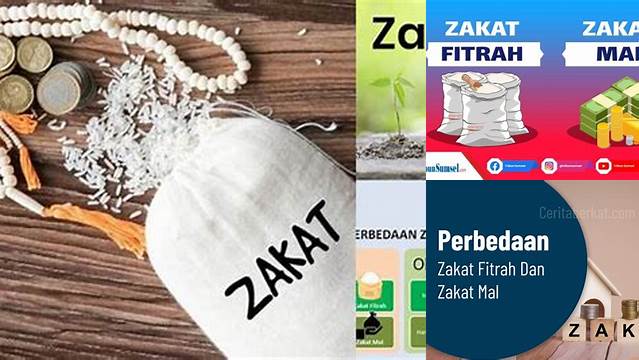 Pengertian Zakat Mal Dan Zakat Fitrah