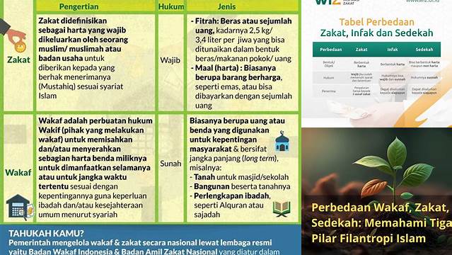 Perbedaan Zakat dan Wakaf: Panduan Lengkap untuk Muslim