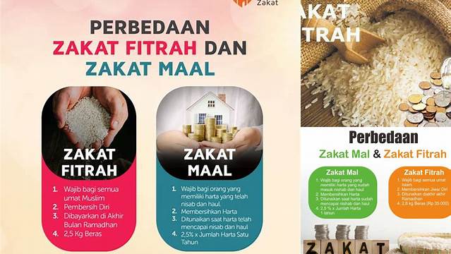 Bedanya Zakat Mal dan Fitrah: Panduan Lengkap untuk Muslim