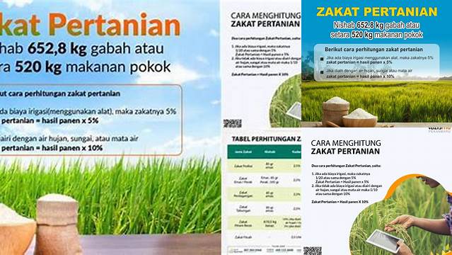 Cara Tepat Menghitung Zakat Pertanian Sesuai Syariat