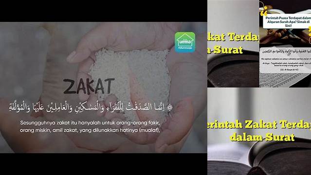 Perintah Zakat dalam Al-Qur'an: Panduan Lengkap