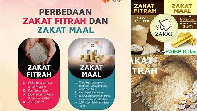 Panduan Lengkap Persamaan Zakat Fitrah dan Zakat Mal