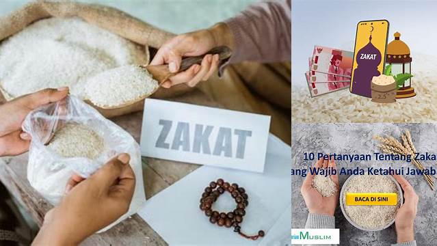 Pertanyaan Tentang Zakat: Panduan Lengkap Untuk Muslim Yang Taat